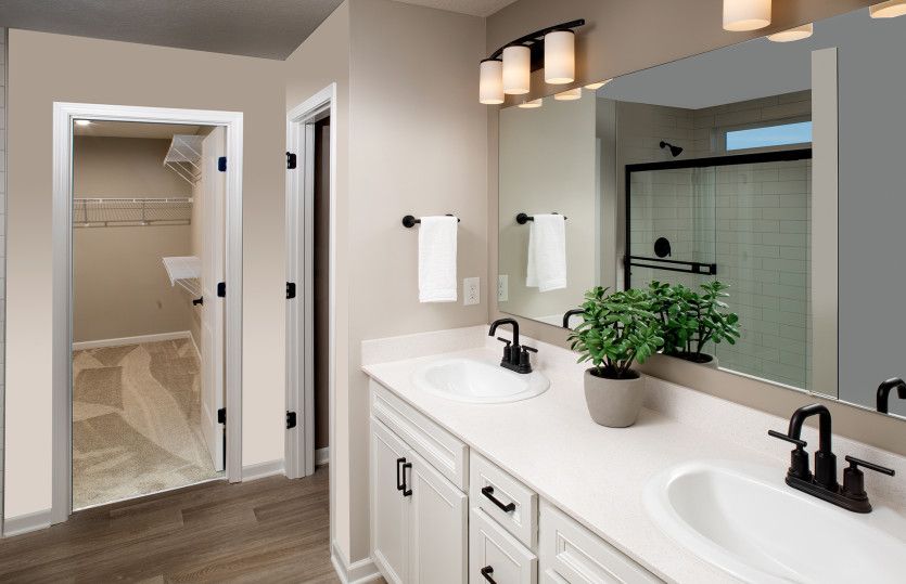 Owner's Bath