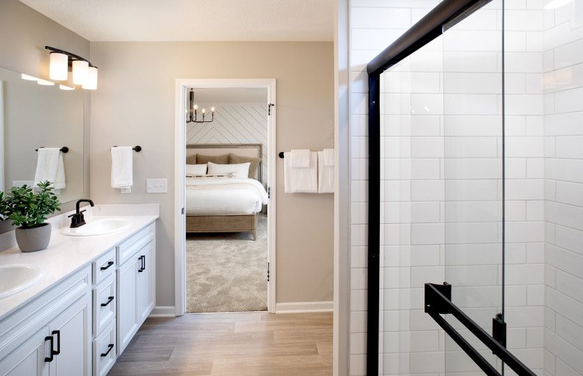 Owner's Bath