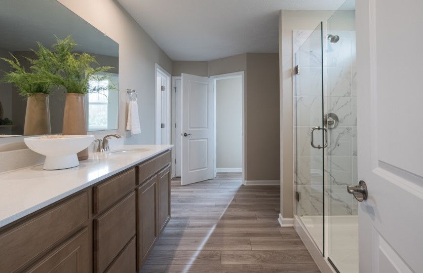Owner's Bath