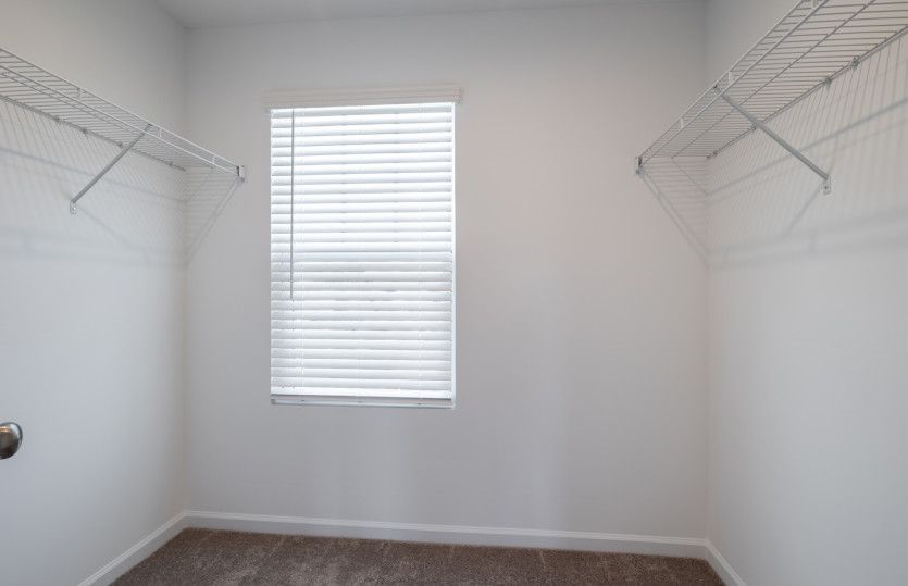 Longspur Owner's Closet