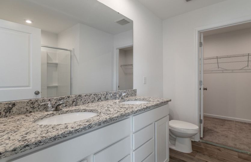 Oriole Owner's Bath