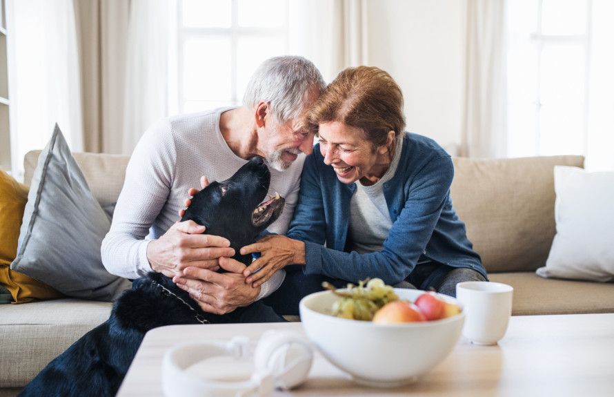 Welcome to Shakes Run