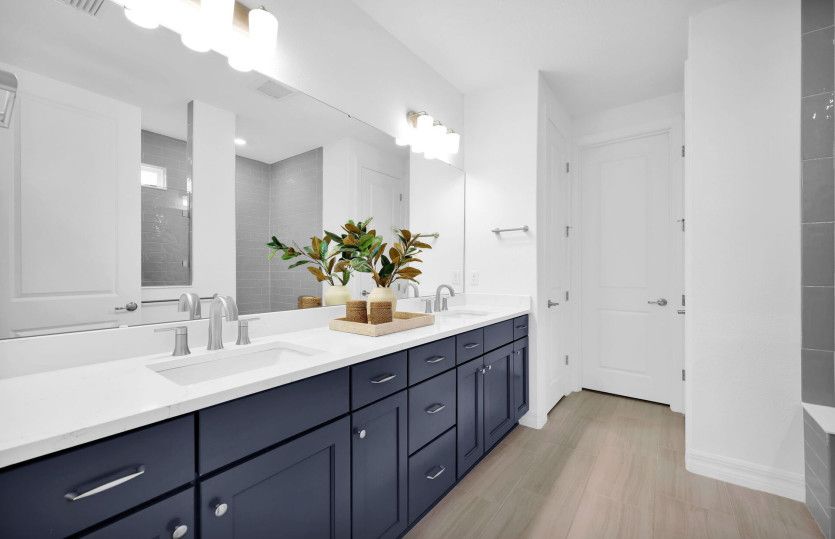 Ashby Grand | Owner's Bathroom