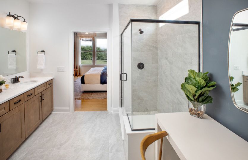 Owner's Bath
