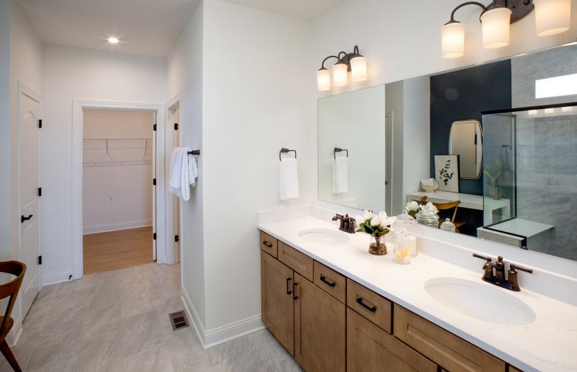 Owner's Bath