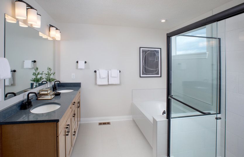 Owner's Bath