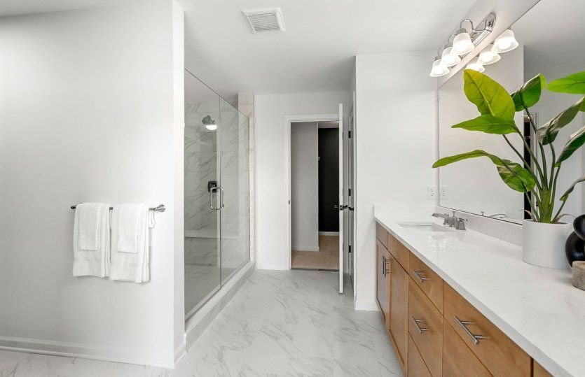 Spa-Like Owner's Bath