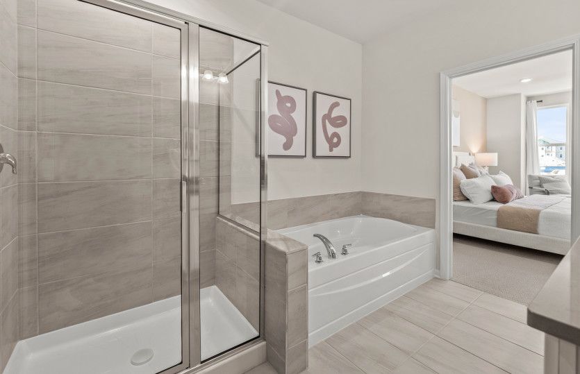 Owner's Bath
