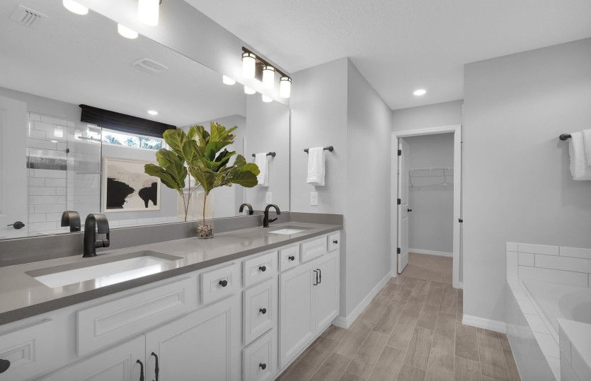 Model Representation | Owner's Bathroom