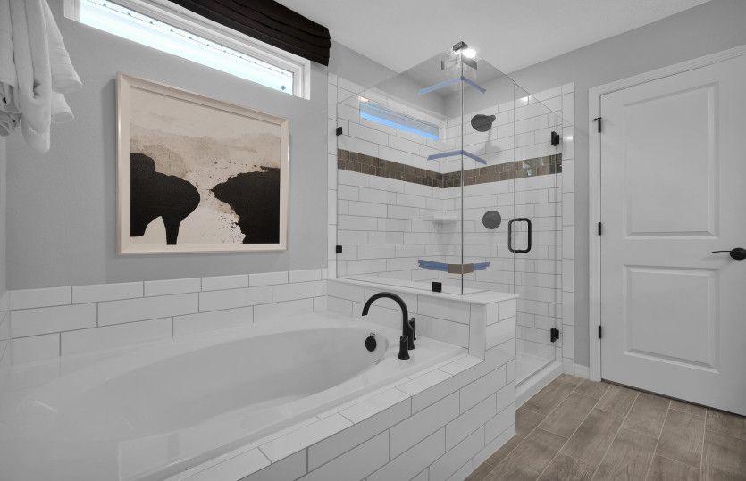 Model Representation | Owner's Tub & Shower