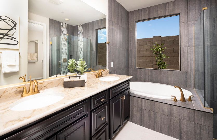 Luxurious Owner's Bath