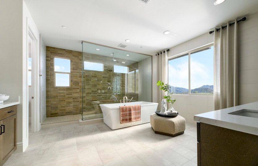 Owner's Bathroom