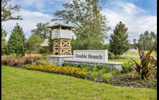 Double Branch: Middleburg, Florida - Pulte Homes