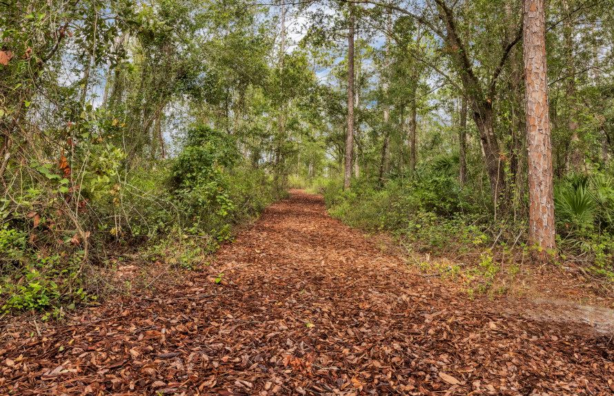 Nature Trail