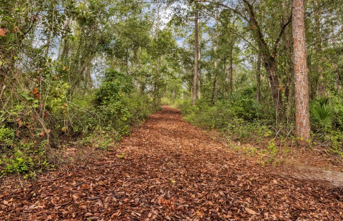 Nature Trail