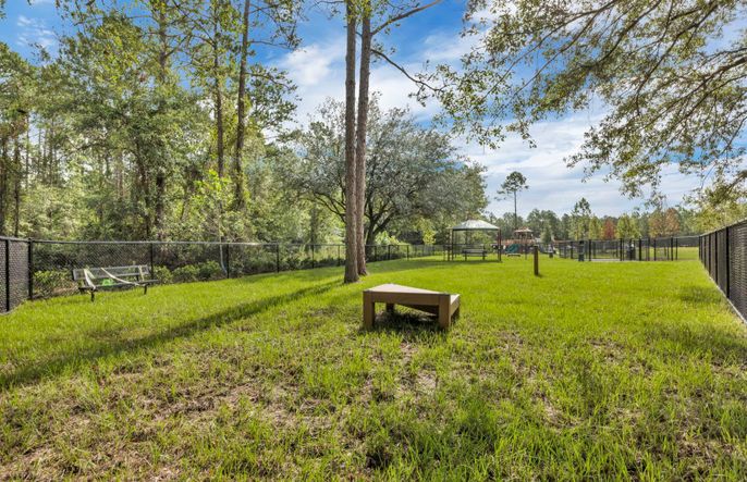 Dog Park