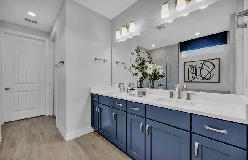 Mystique | Owner's Bathroom