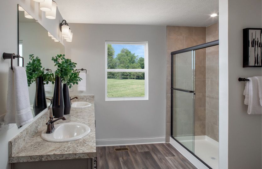 Owner's Bath
