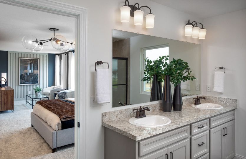 Owner's Bath