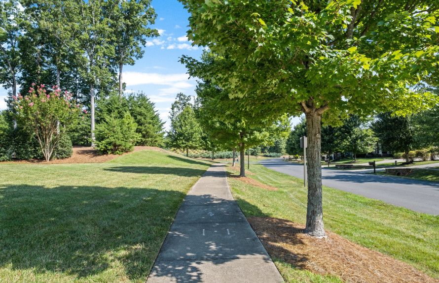 Sidewalks and Mature Trees