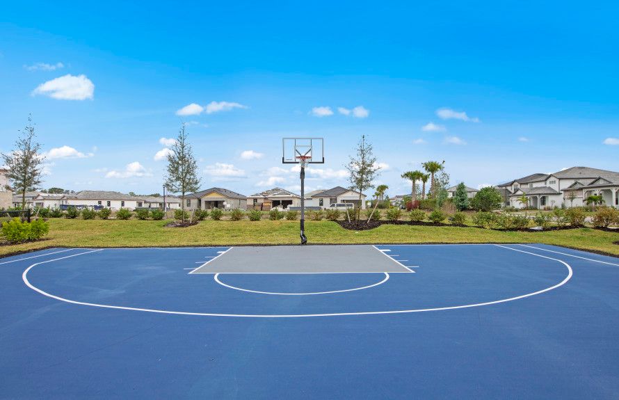 Basketball Court