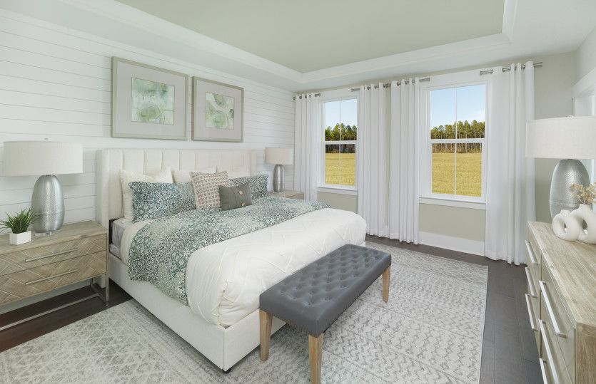 Owner's bedroom with tray ceiling