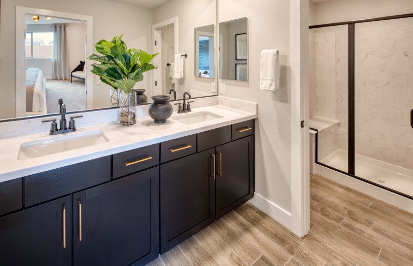 Owner's Bathroom