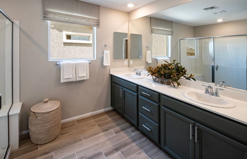 Owner's Bath