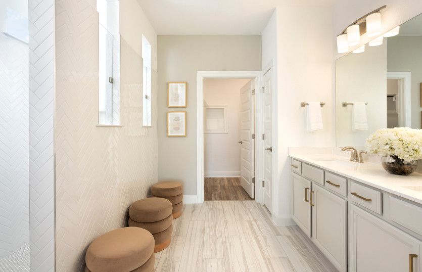 Owner's Walk-In Shower with Double Vanity Sinks
