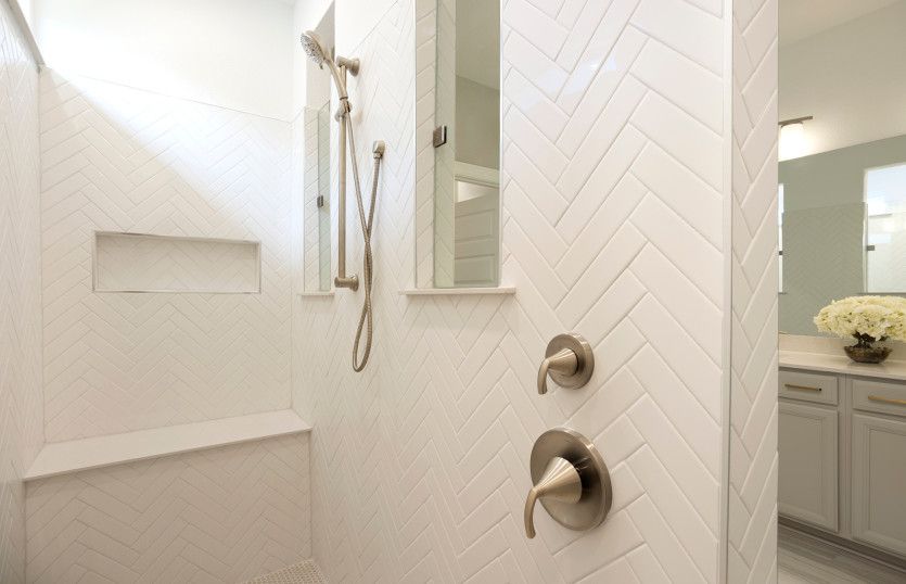 Owner's Shower Details