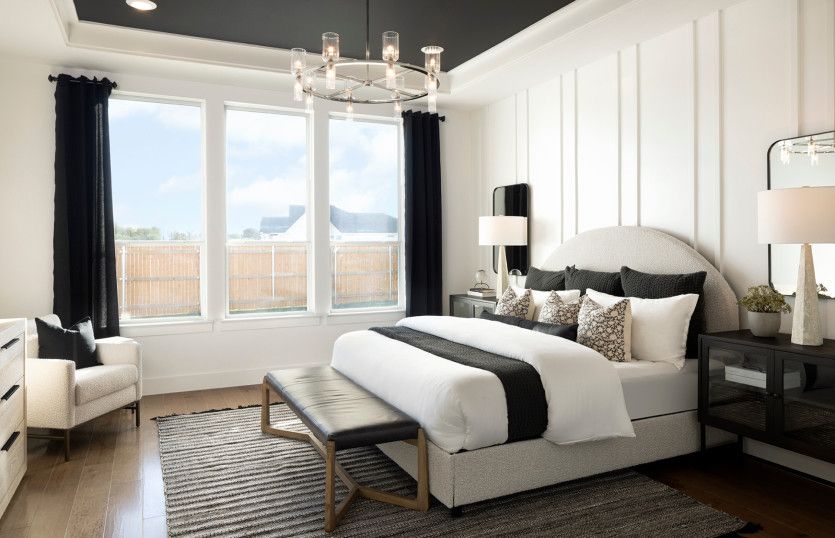 Owner's Bedroom with Tray Ceilings