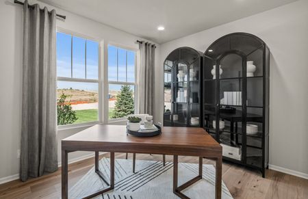 Flex Room / Home Office