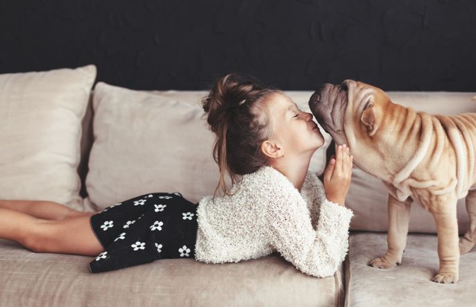 Make New Paw Friends