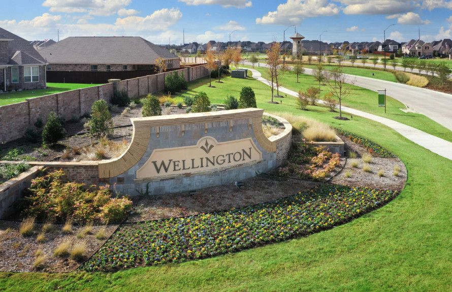 Welcome to Wellington