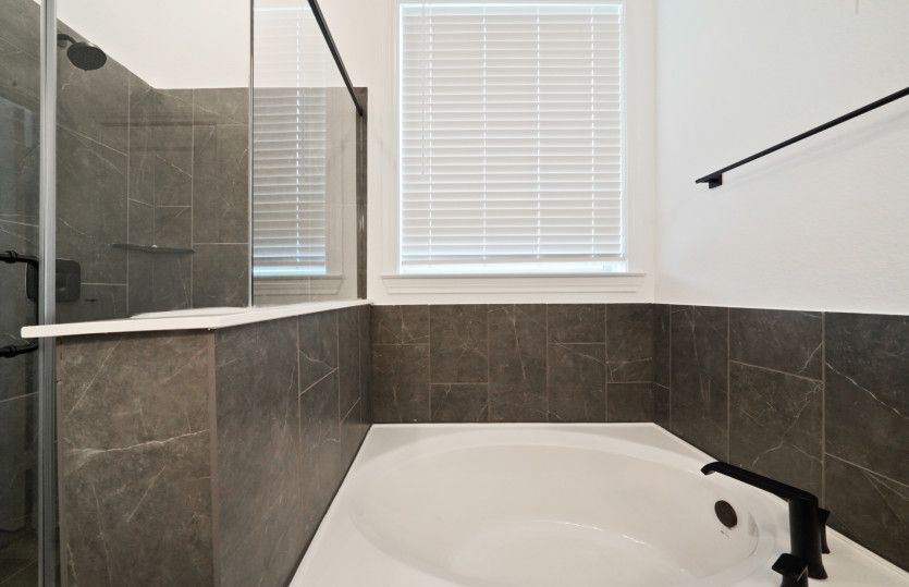 Owner's Tub