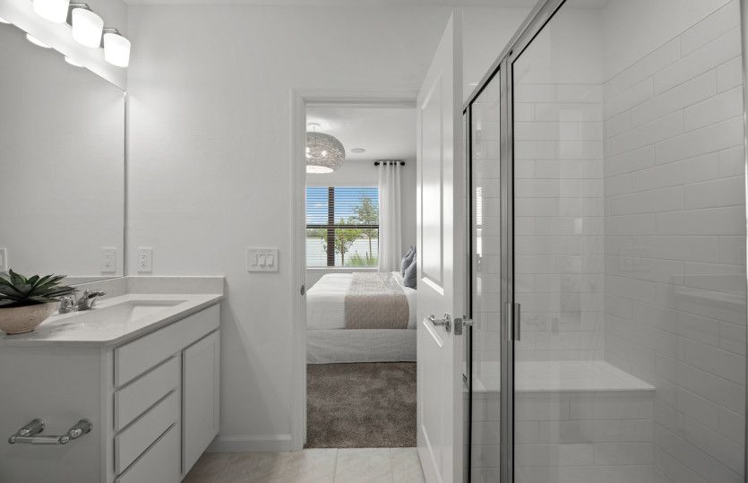 Owner's bathroom