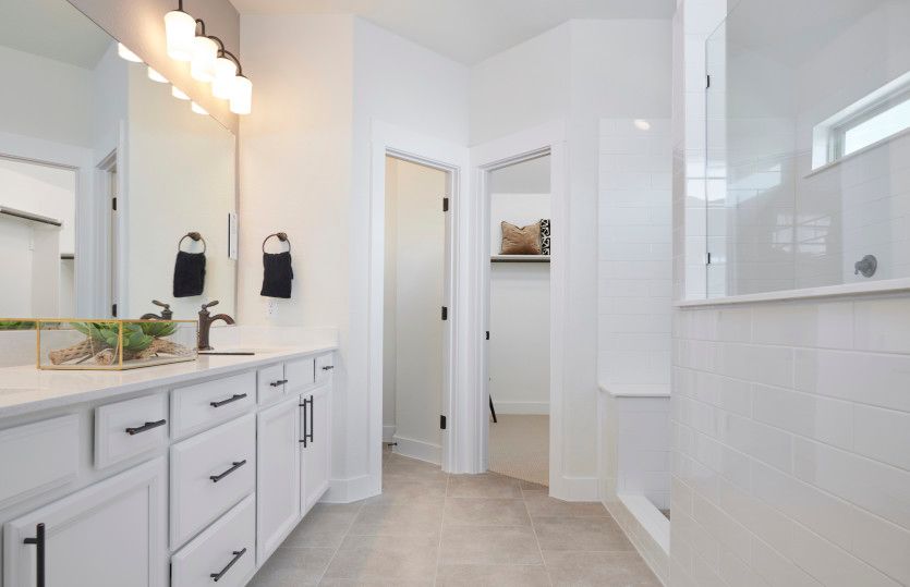 Walk-In Shower in Owner's Bathroom