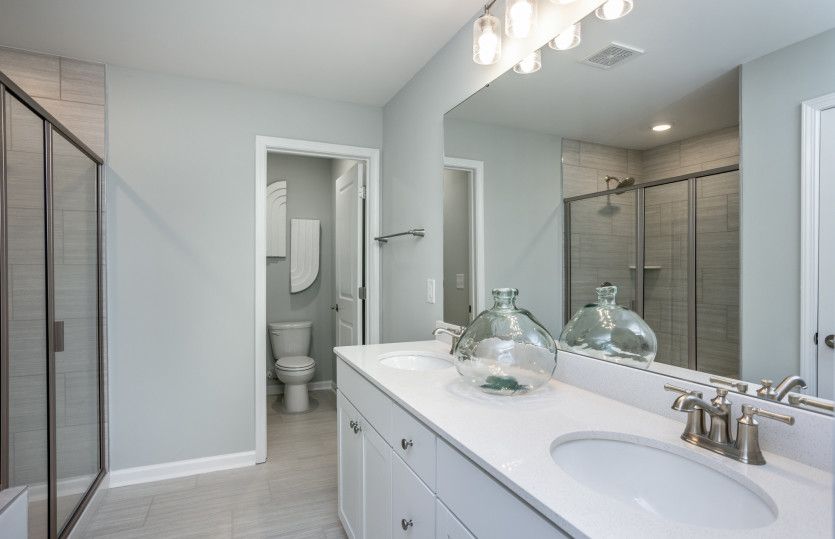 Owner's Bath - Model Representation