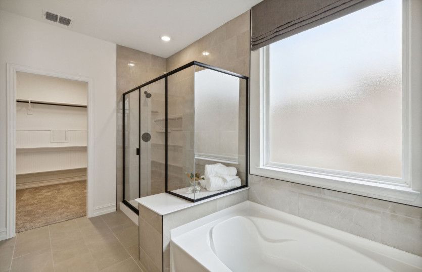 Large tub and shower in owner's bath
