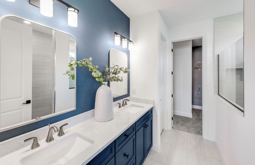 Owner's bathroom