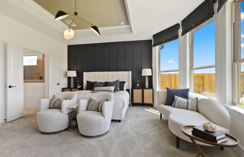 Owner's Bedroom with Tray Ceilings