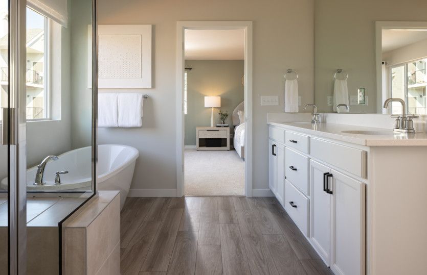 Owner's Bath