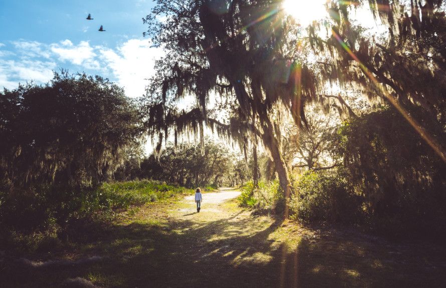 Life Nestled Around Nature