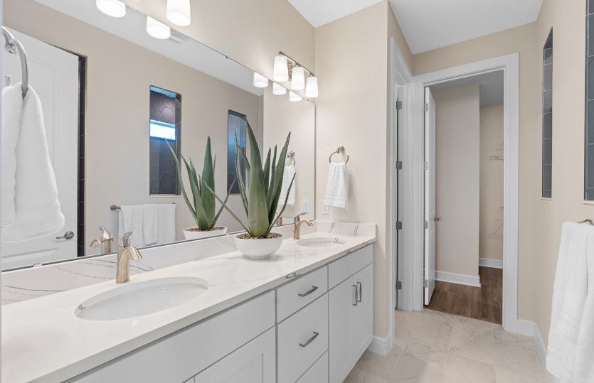 Owner's Bath