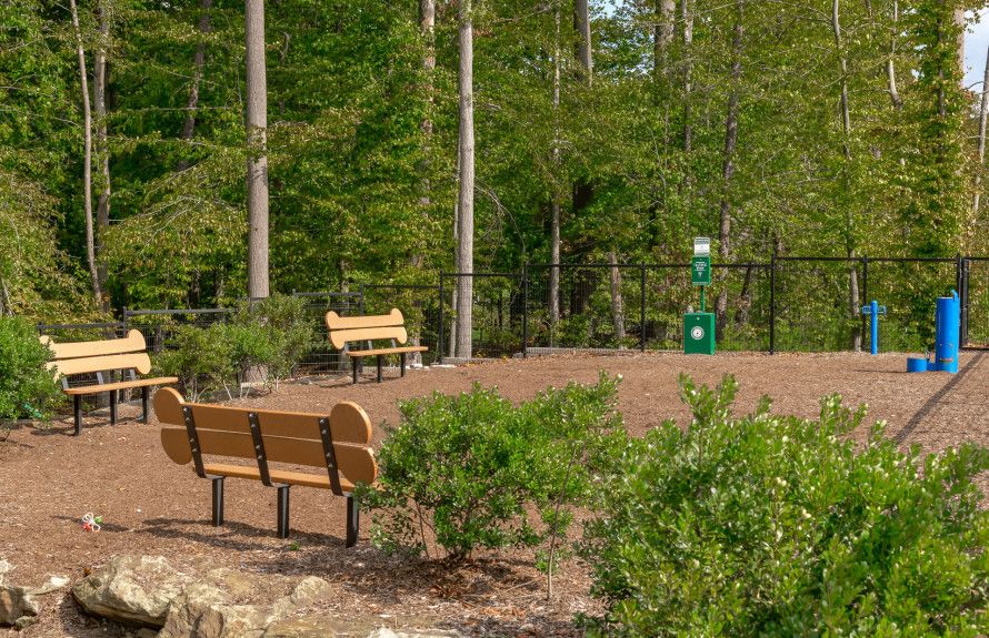 Dog Park