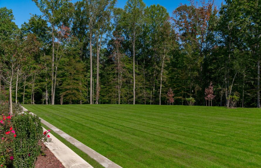 Open Green Space