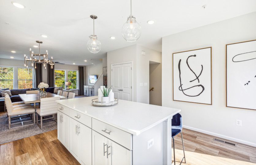 Stainless Steel Appliances in the Gourmet Kitchen