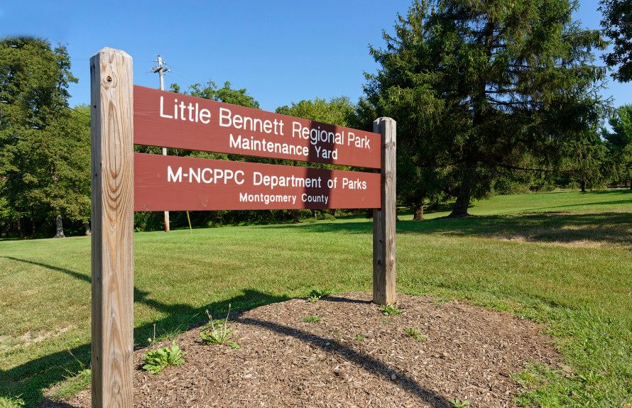 Little Bennett Regional Park