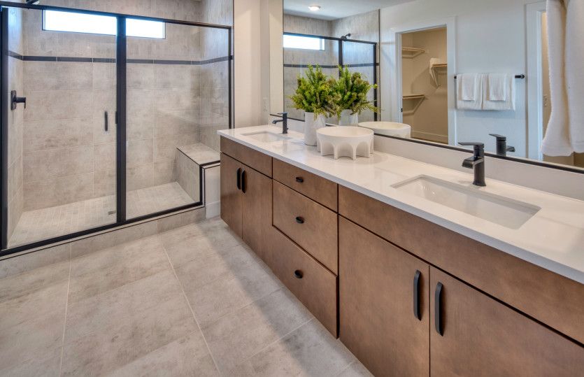 Owner's Bathroom