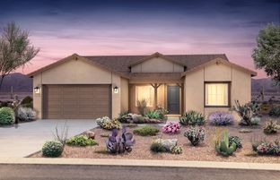 Salerno - Saguaro Reserve at Dove Mountain: Marana, Arizona - Pulte Homes